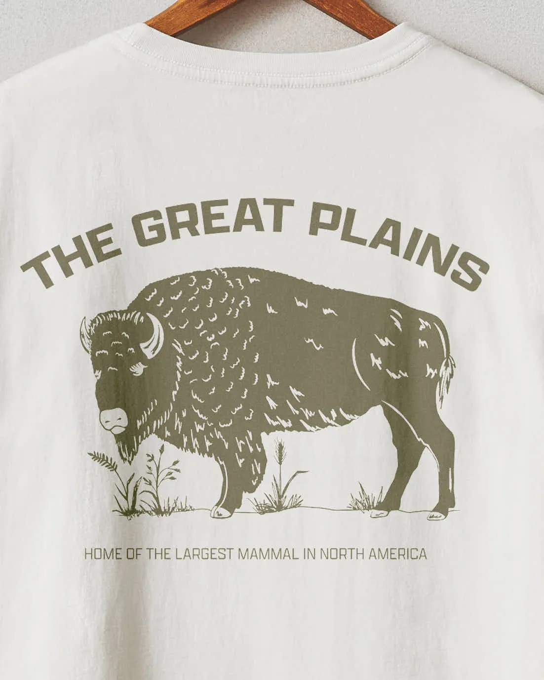Classic Cotton Crew Tee Regional - Midwest sold by American Giant product image thumbnail 3