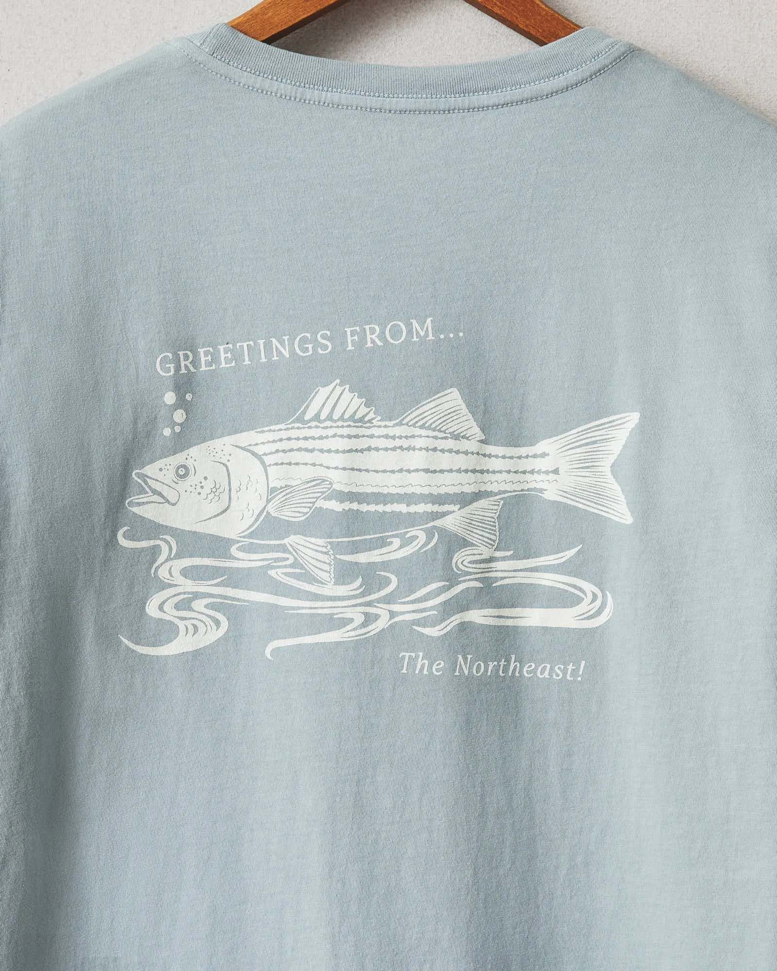 Classic Cotton Crew Tee Regional - Northeast sold by American Giant product image thumbnail 4