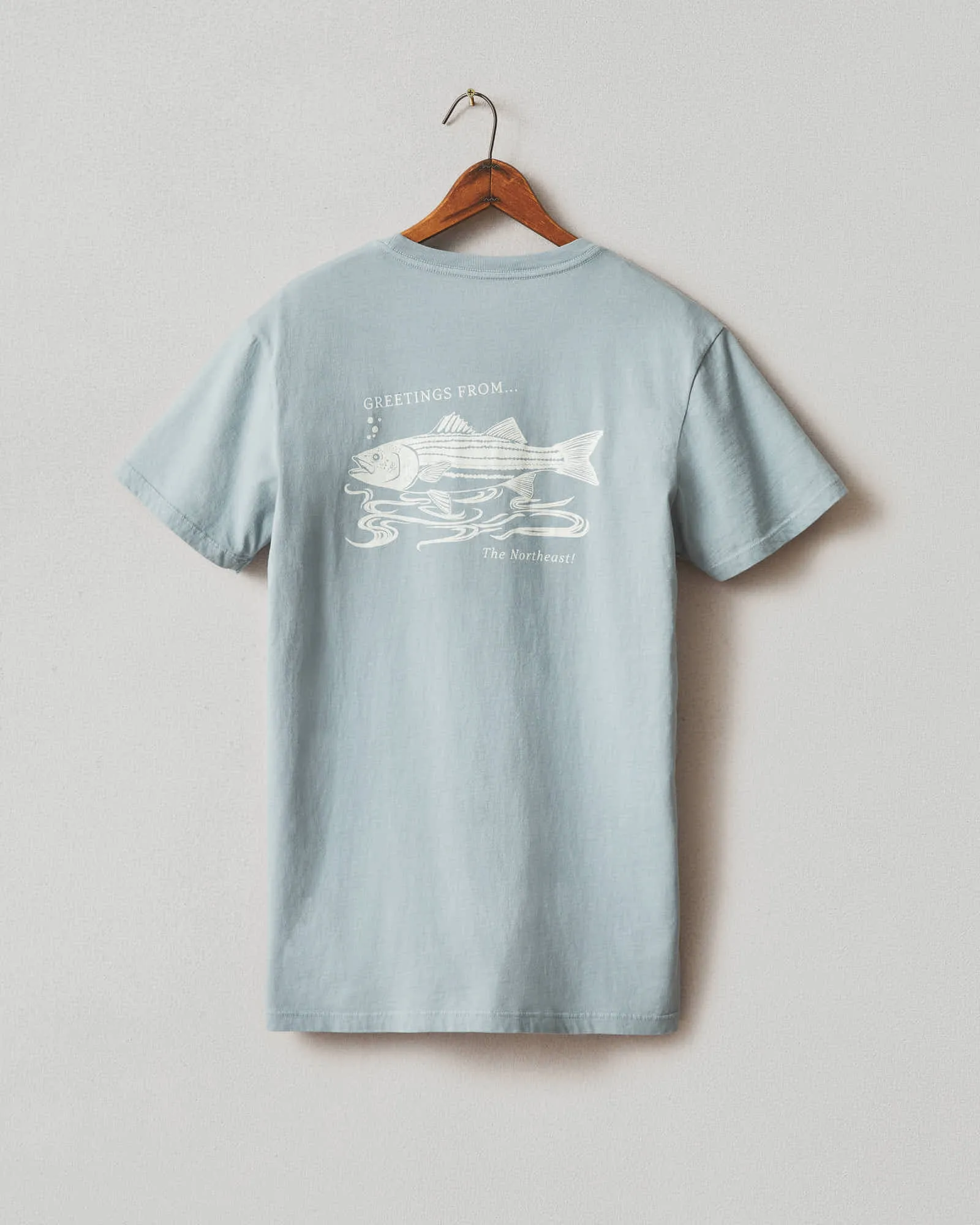 Classic Cotton Crew Tee Regional - Northeast sold by American Giant product image thumbnail 3