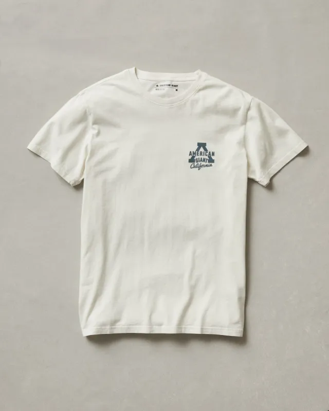 Men's Classic Cotton Graphic Tee - Turtledove sold by American Giant