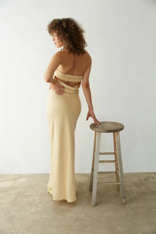 Jayla Strapless Open Back Maxi Dress sold by American Threads