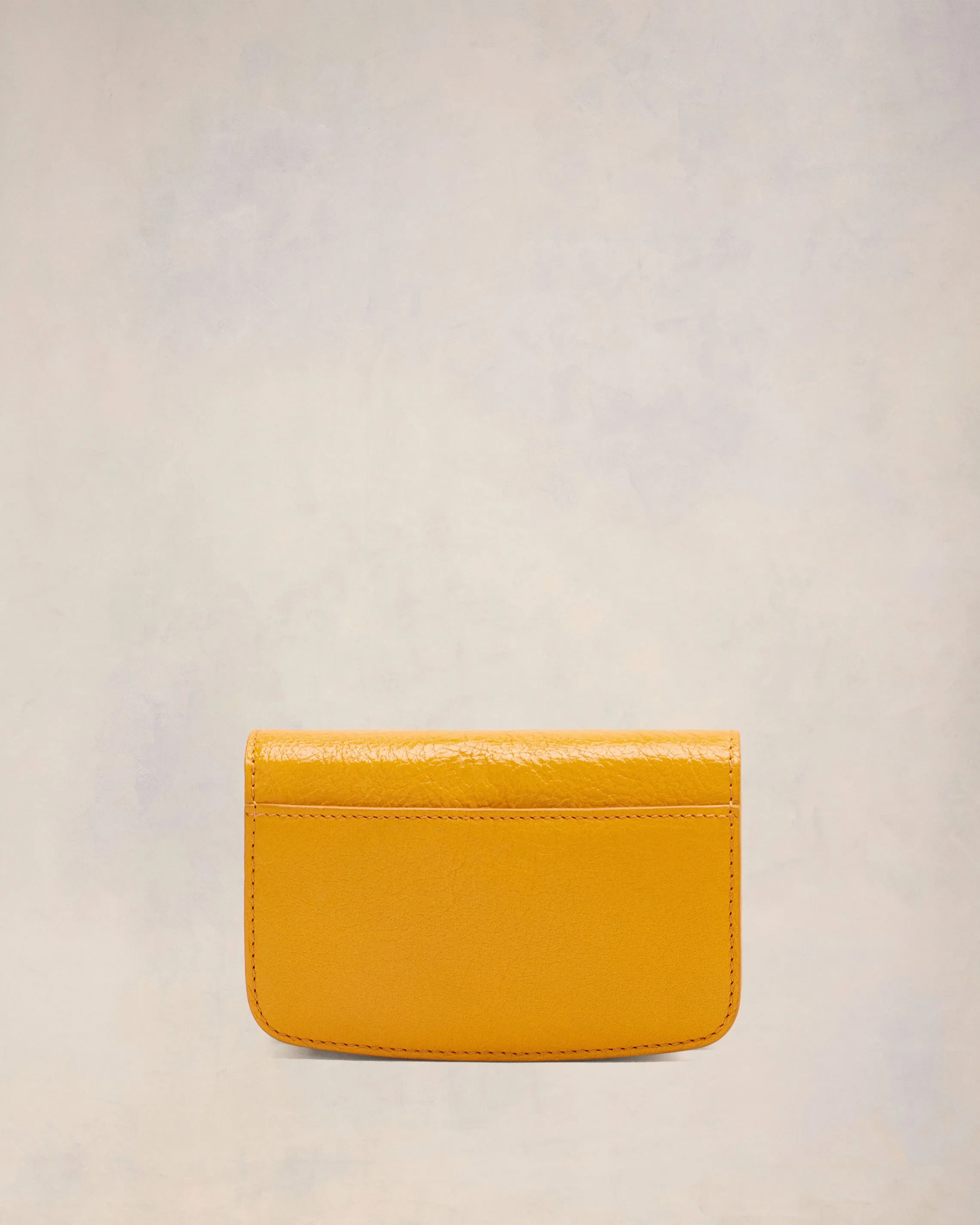 Porte-Cartes Bandoulière Paris Paris sold by Ami product image thumbnail 4