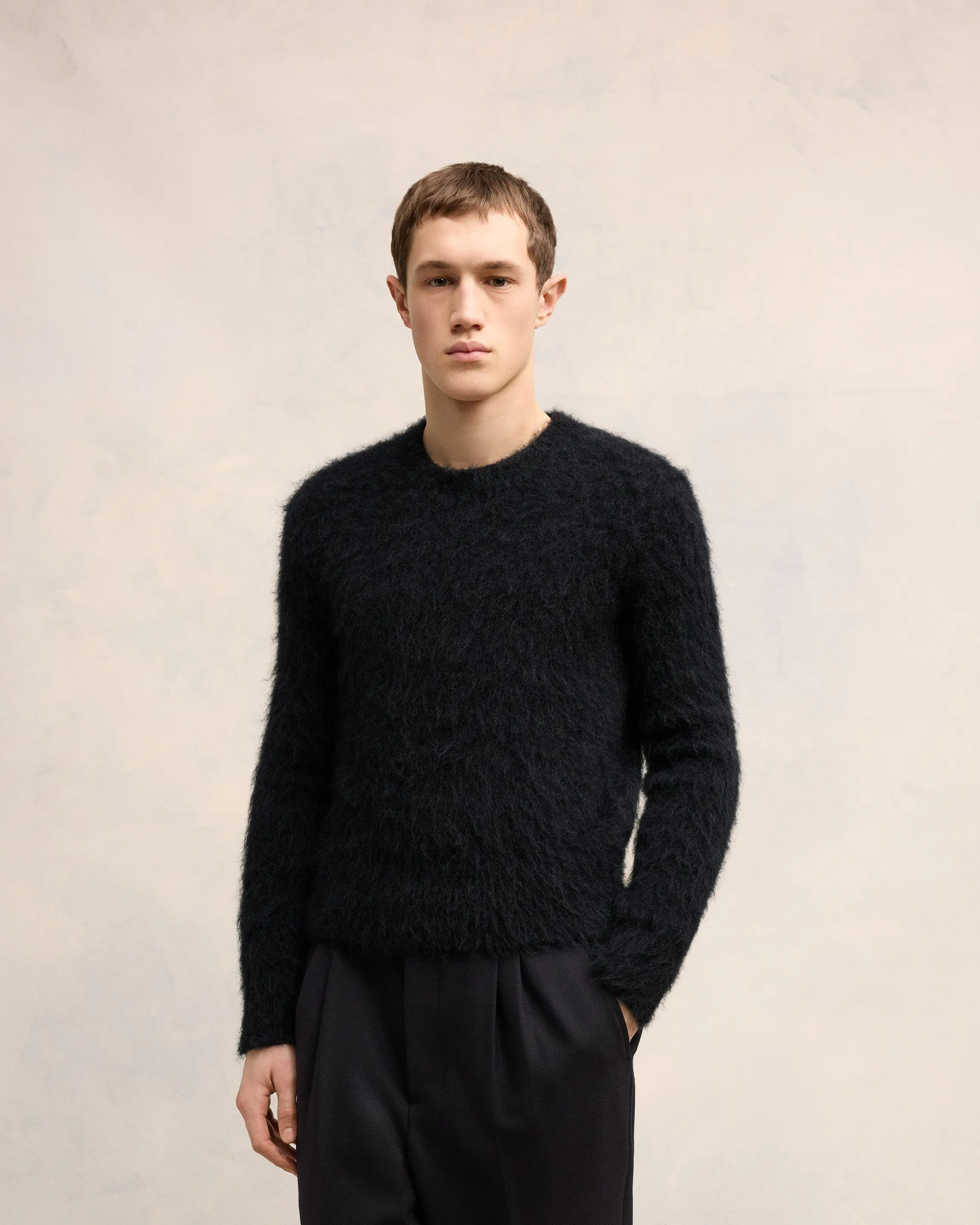 Pull En Alpaga Mohair Brossé sold by Ami product image thumbnail 3