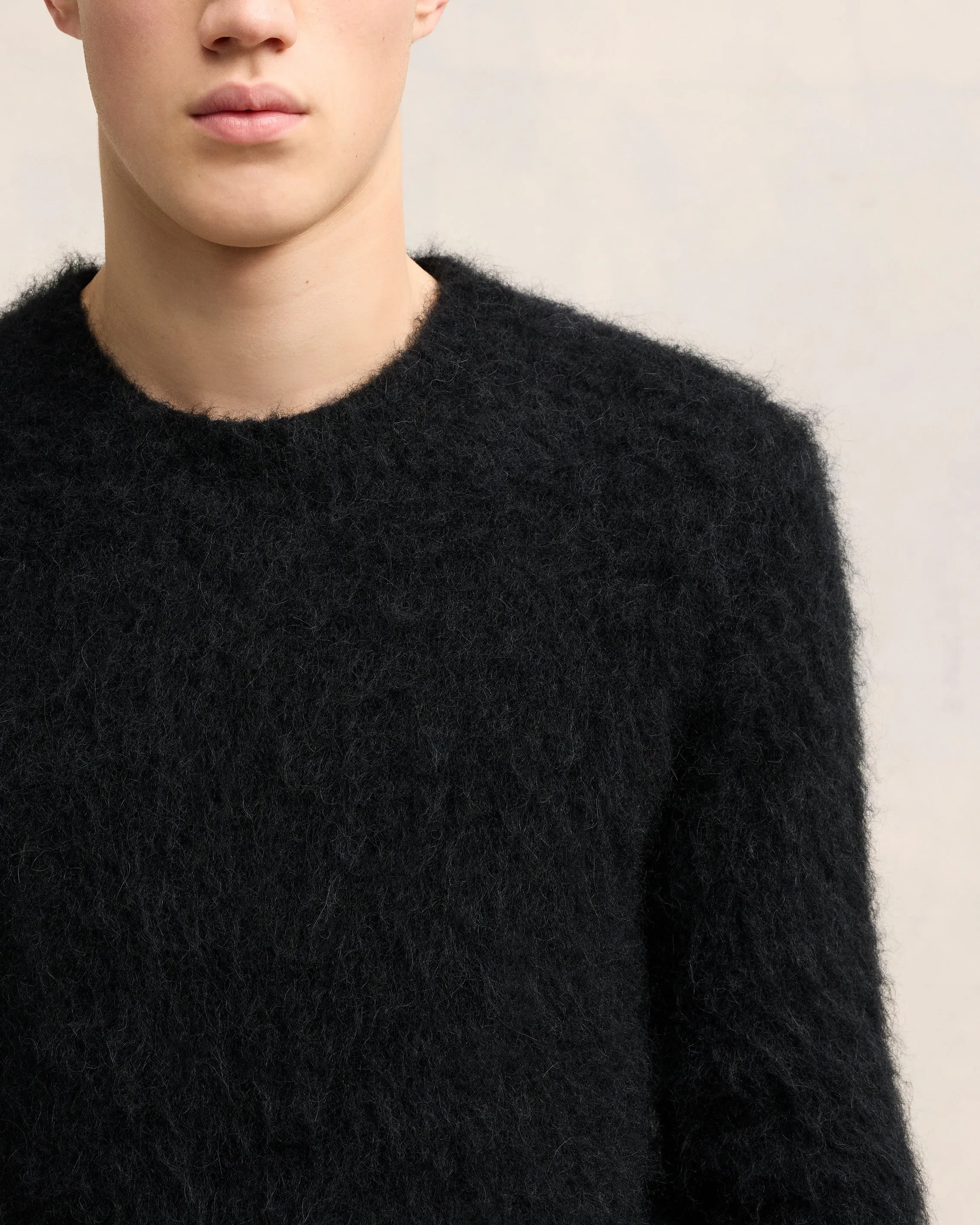 Pull En Alpaga Mohair Brossé sold by Ami product image thumbnail 4