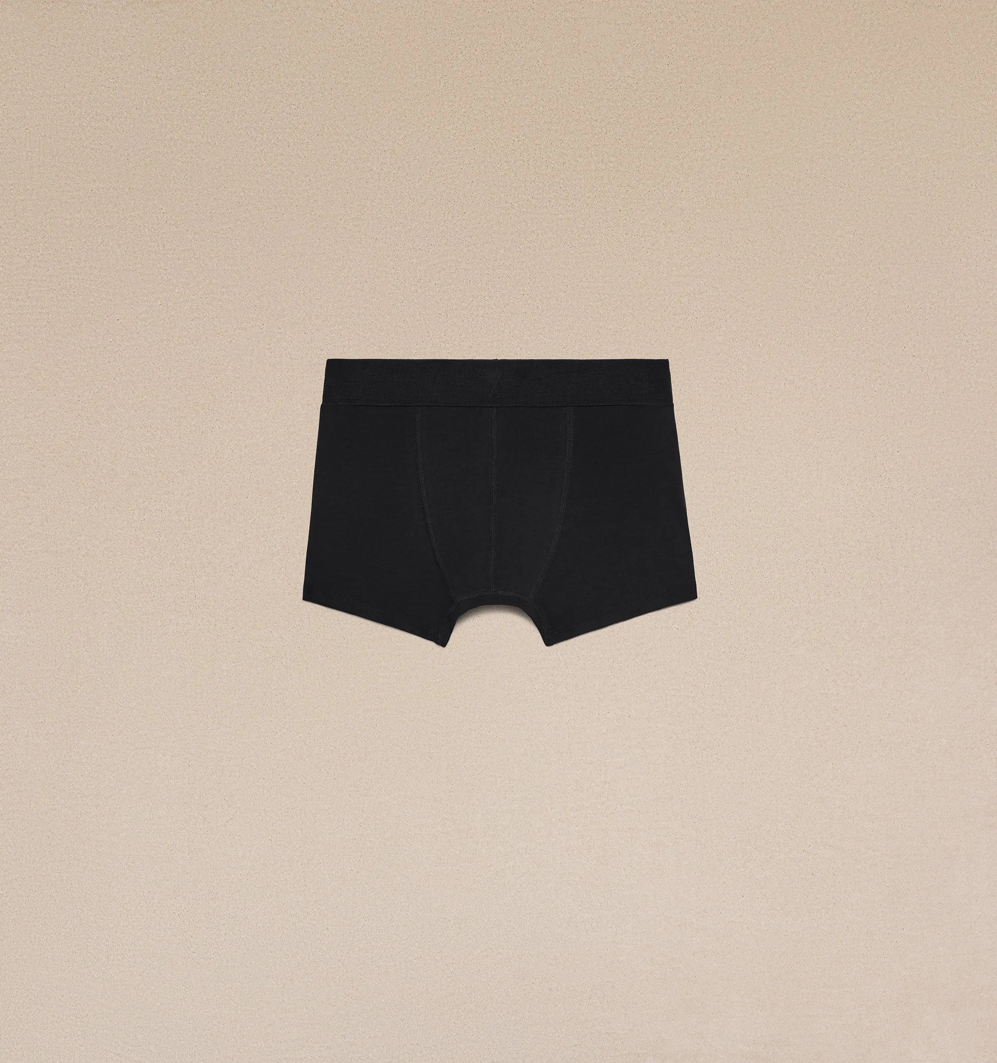 Boxer Ami de Coeur sold by Ami