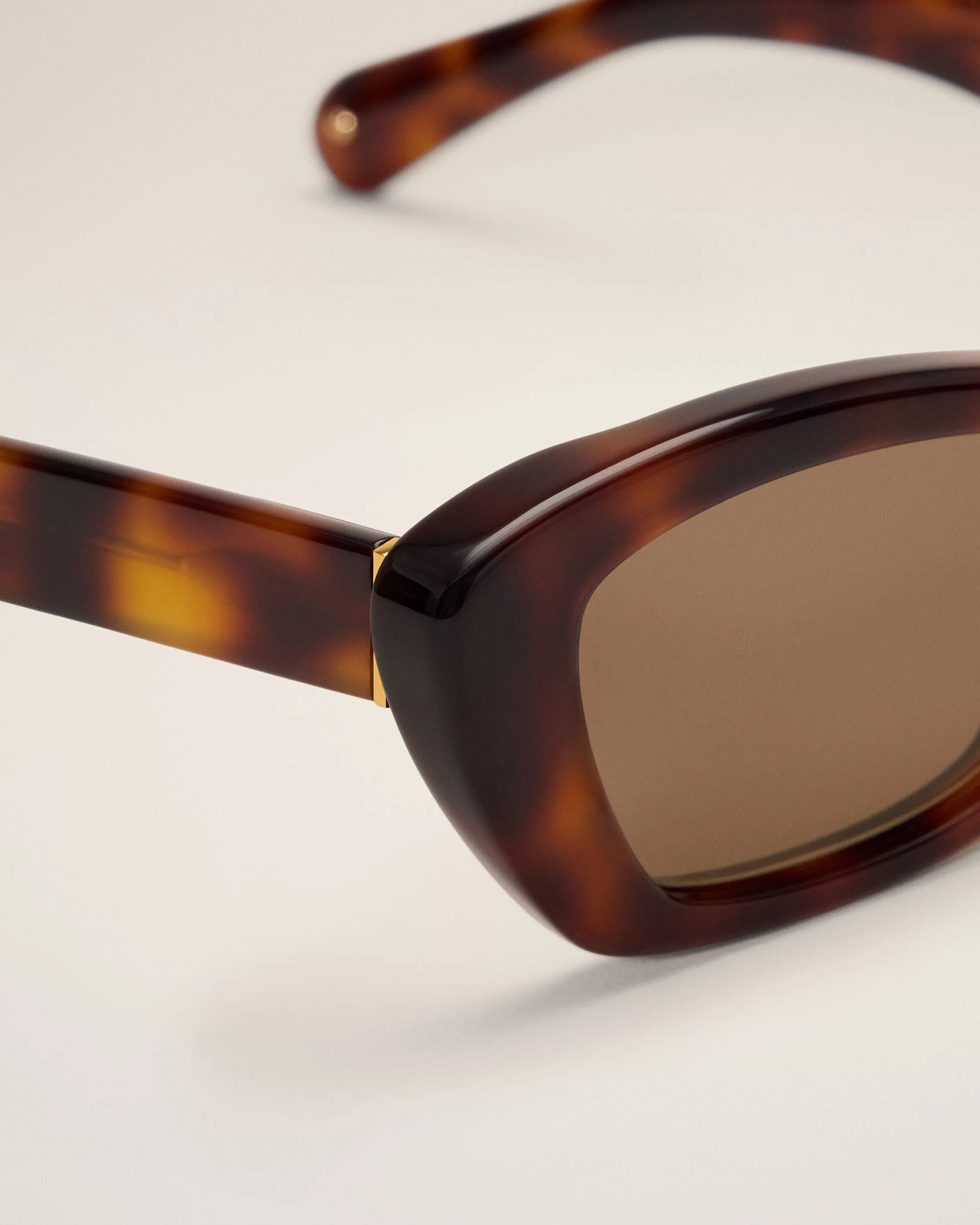 Lunettes de soleil 75020 marron sold by Ami product image thumbnail 4