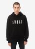AMIRI CORE LOGO HOODIE - BLACK sold by AMIRI