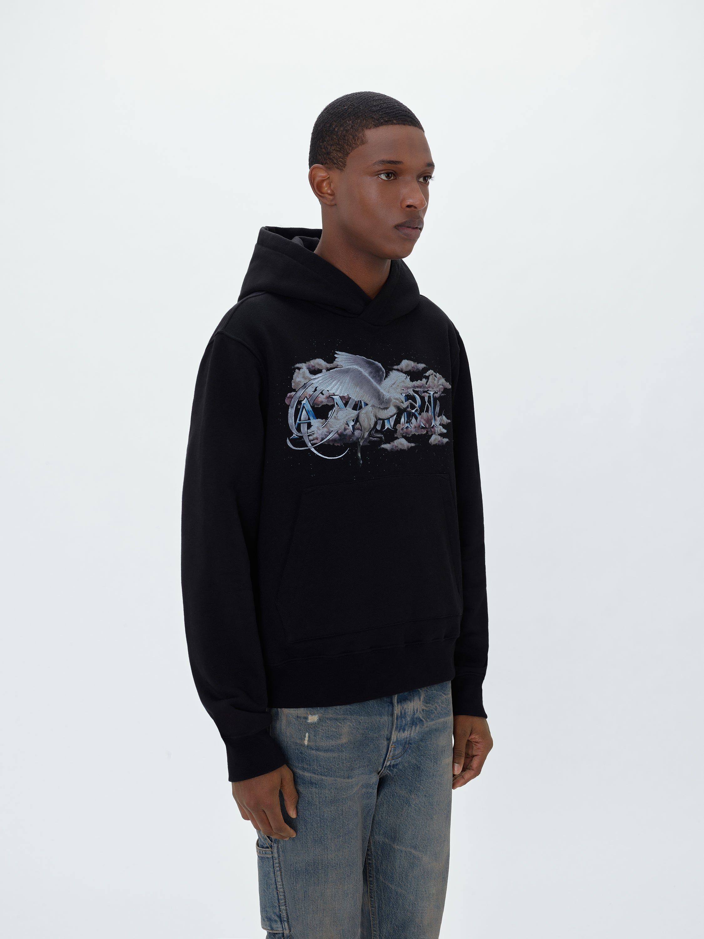 PEGASUS SCRIPT HOODIE - BLACK sold by AMIRI product image thumbnail 3