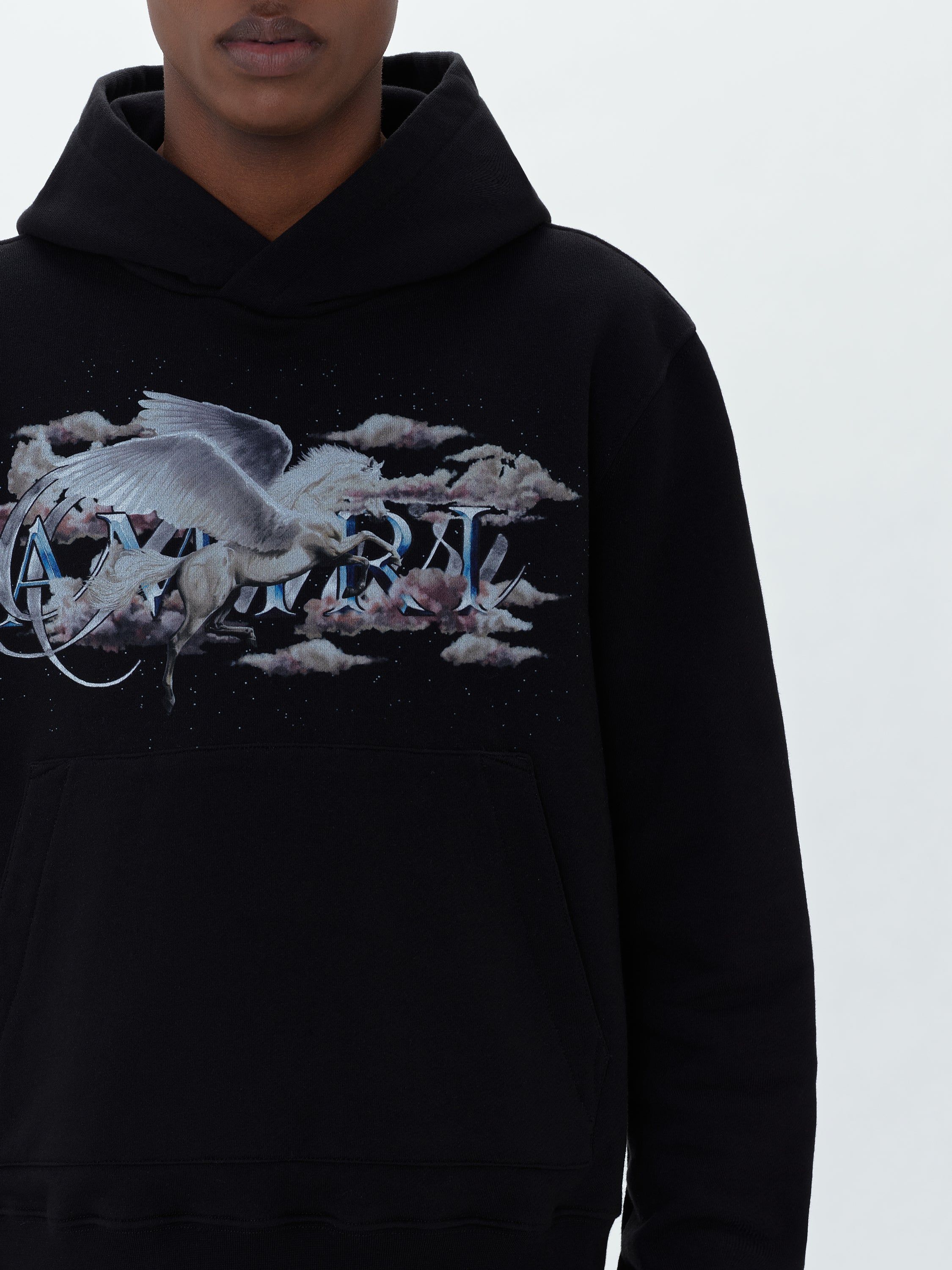 PEGASUS SCRIPT HOODIE - BLACK sold by AMIRI product image thumbnail 4