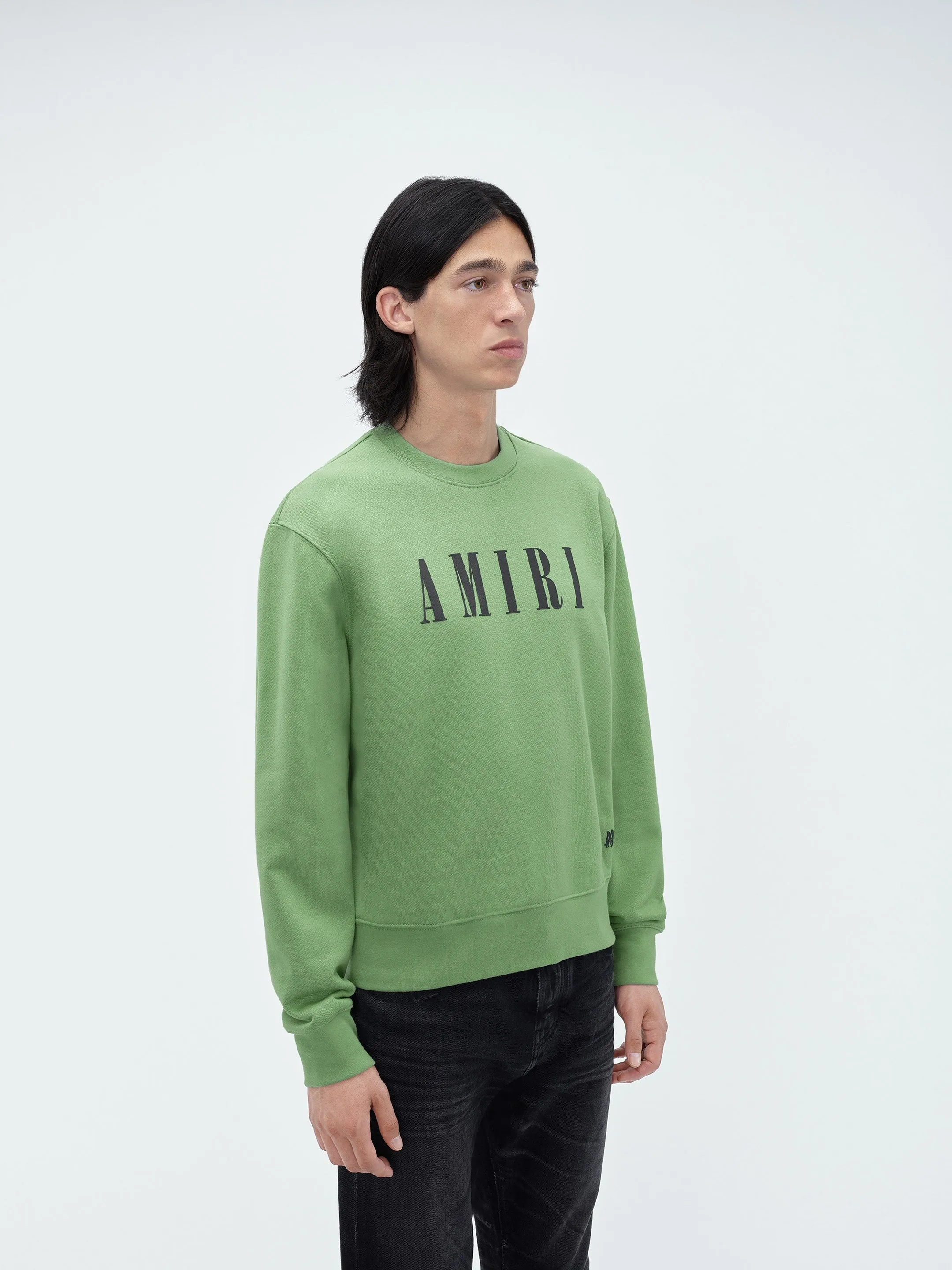 AMIRI CORE LOGO CREW - Mineral Green sold by AMIRI product image thumbnail 4
