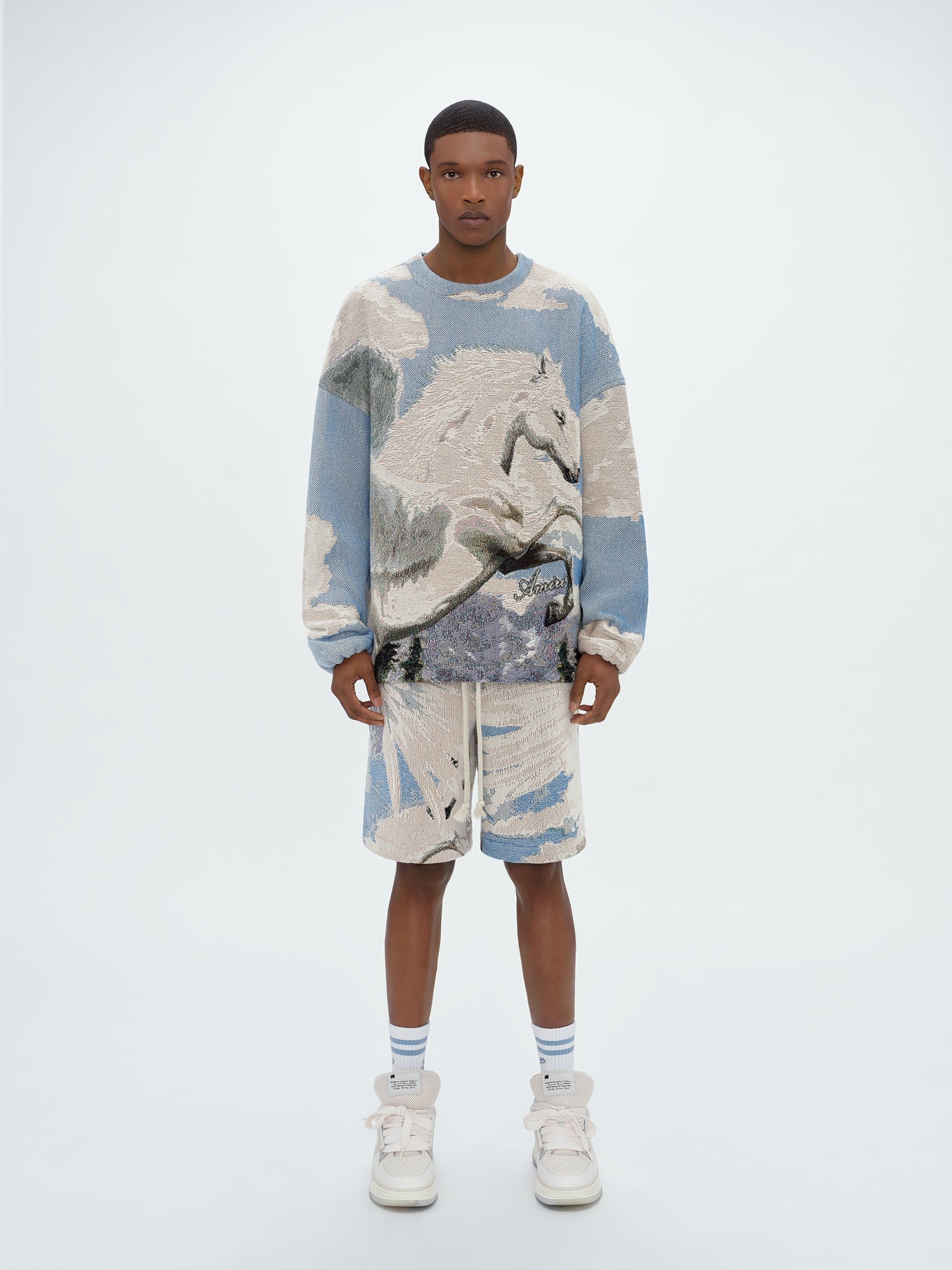 TAPESTRY PEGASUS BAGGY SHORTS - MULTI sold by AMIRI product image thumbnail 2