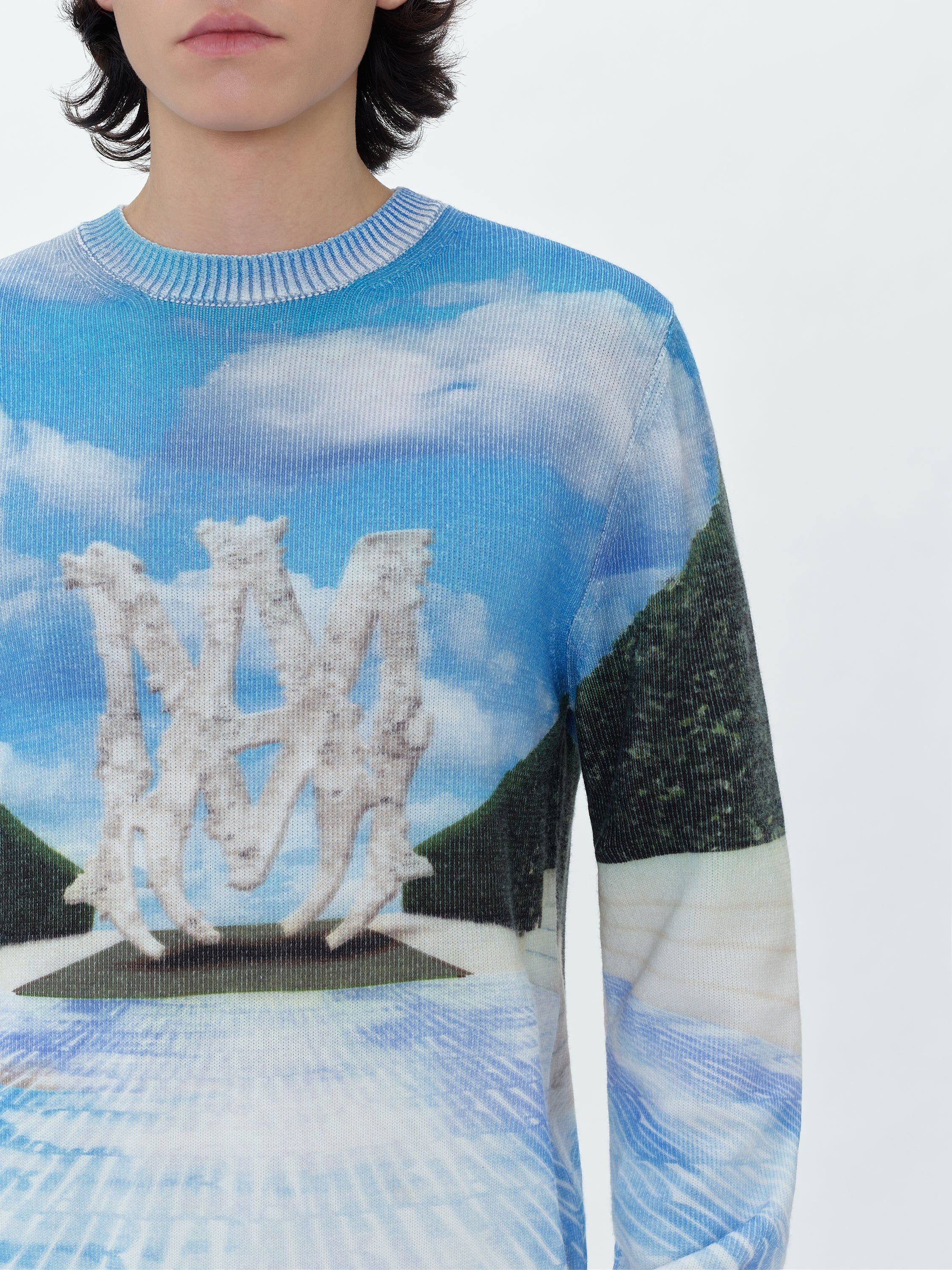 PRINTED RUNWAY LOGO CREW - MULTI sold by AMIRI product image thumbnail 5