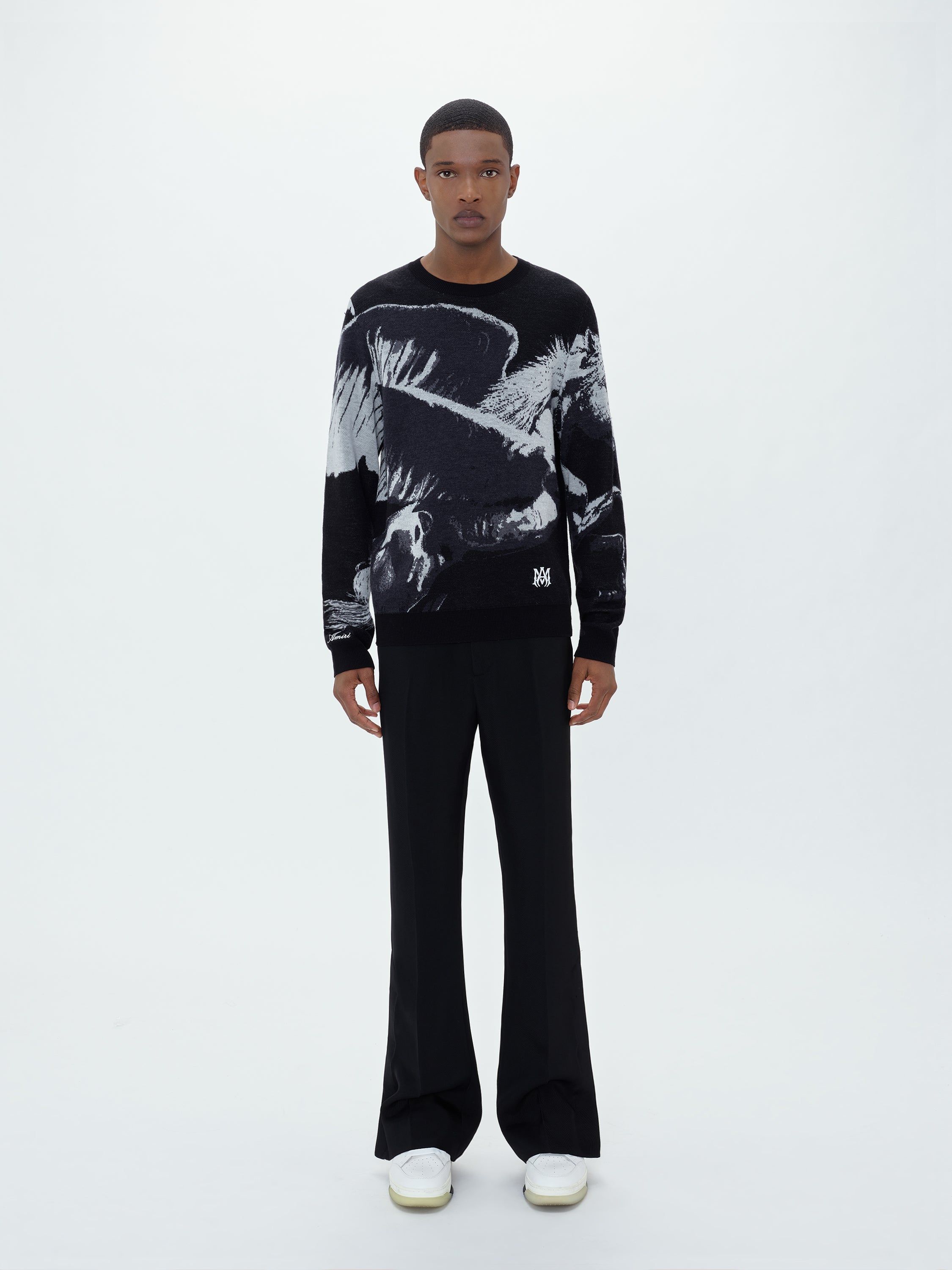 PEGASUS CREW - BLACK sold by AMIRI product image thumbnail 2