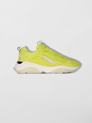 BONE RUNNER - VOLT made by AMIRI