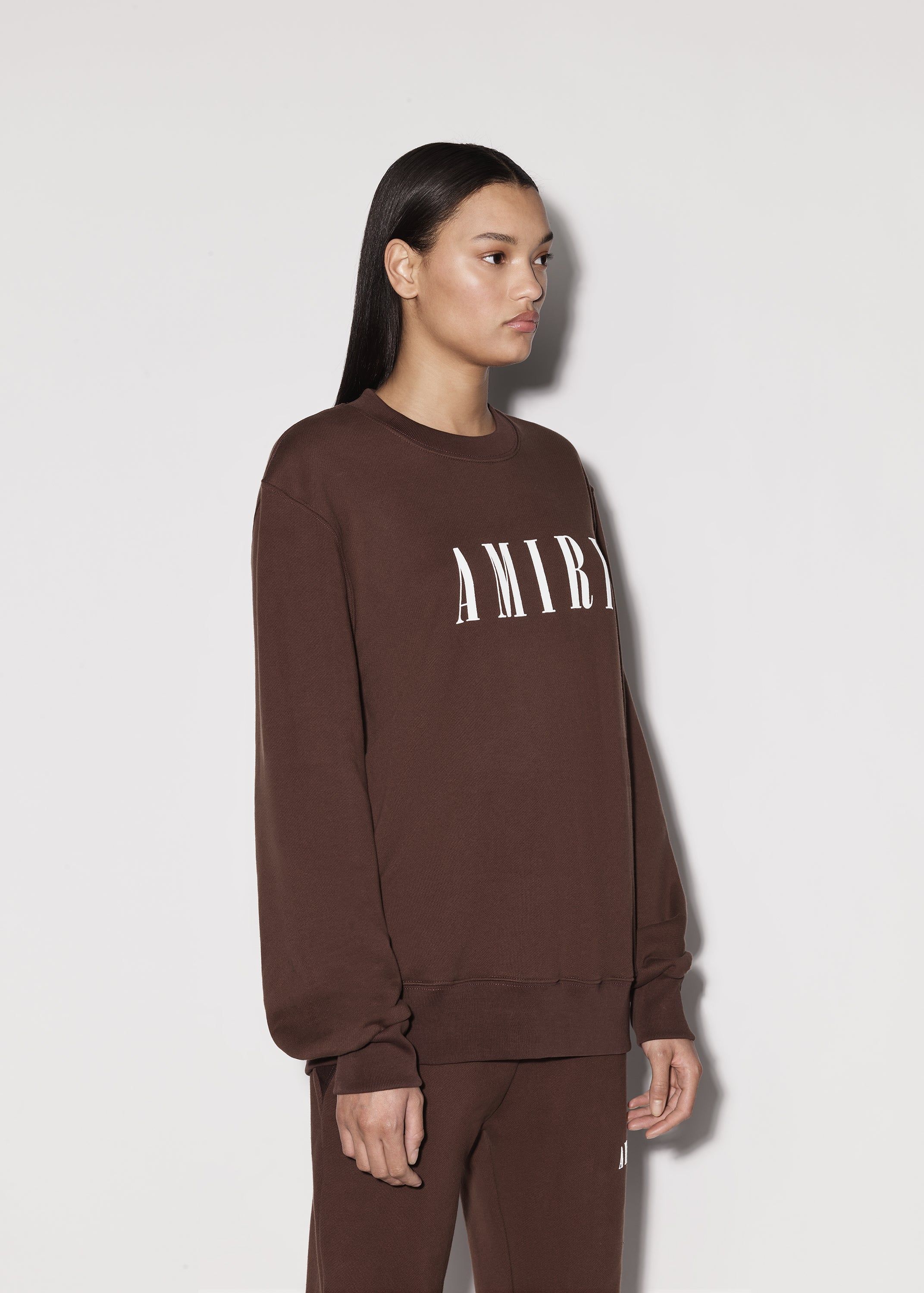 WOMEN - CORE LOGO CREWNECK - BROWN sold by AMIRI product image thumbnail 4
