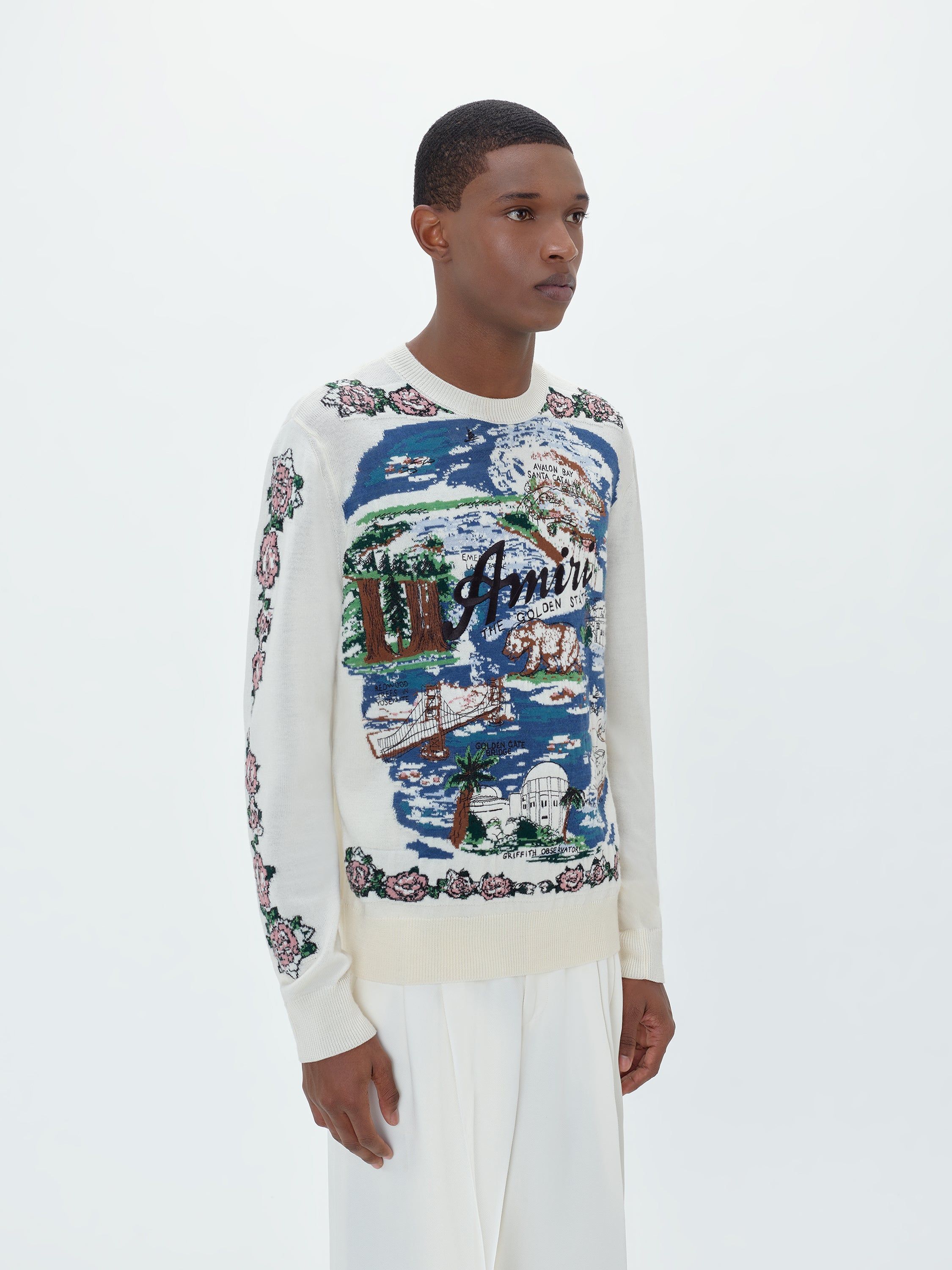ALOHA LANDSCAPE JACQUARD CREW - BLUE sold by AMIRI product image thumbnail 9