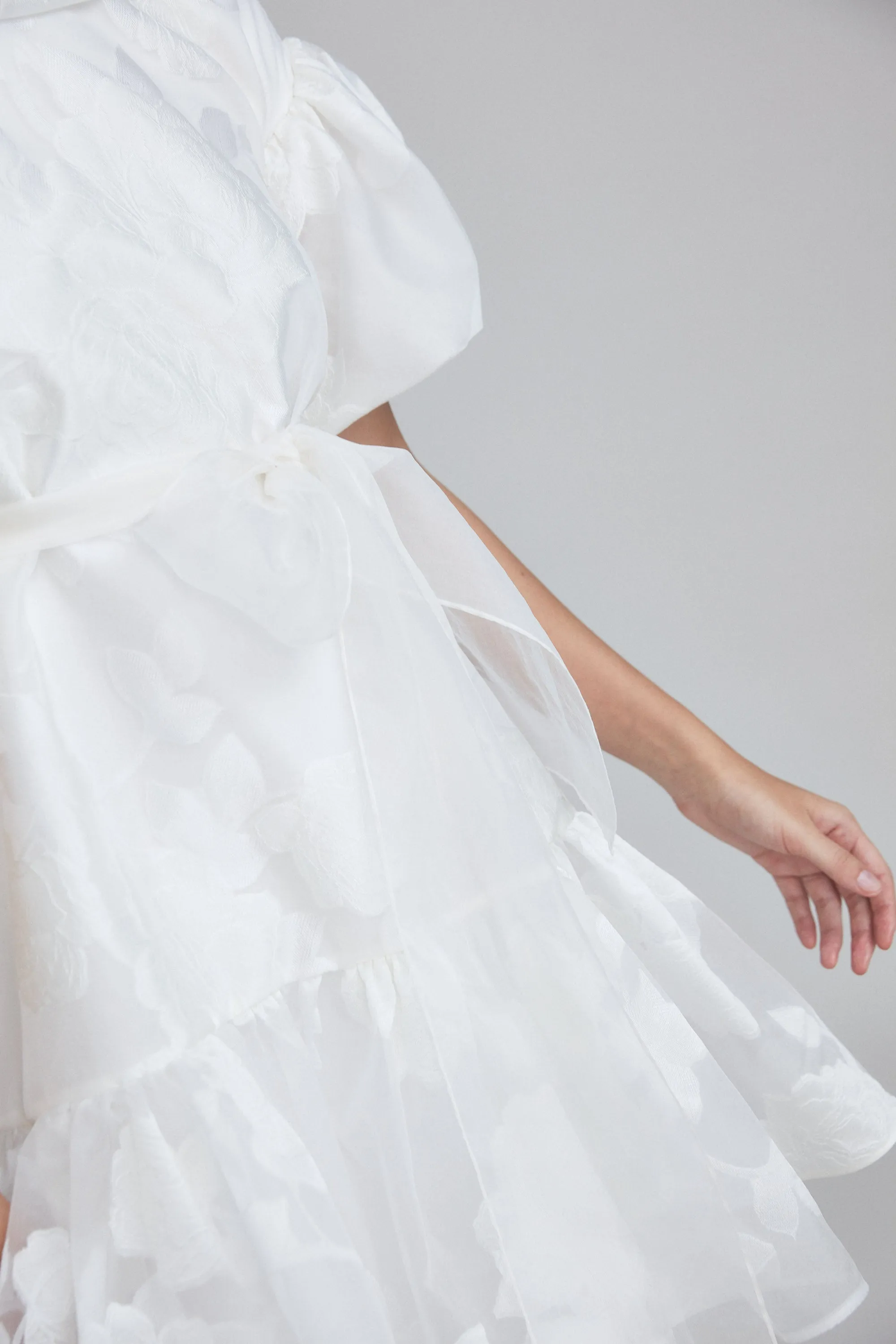 LW198 - Rose Fil-Coupe Trapeze Dress sold by Amsale product image thumbnail 3