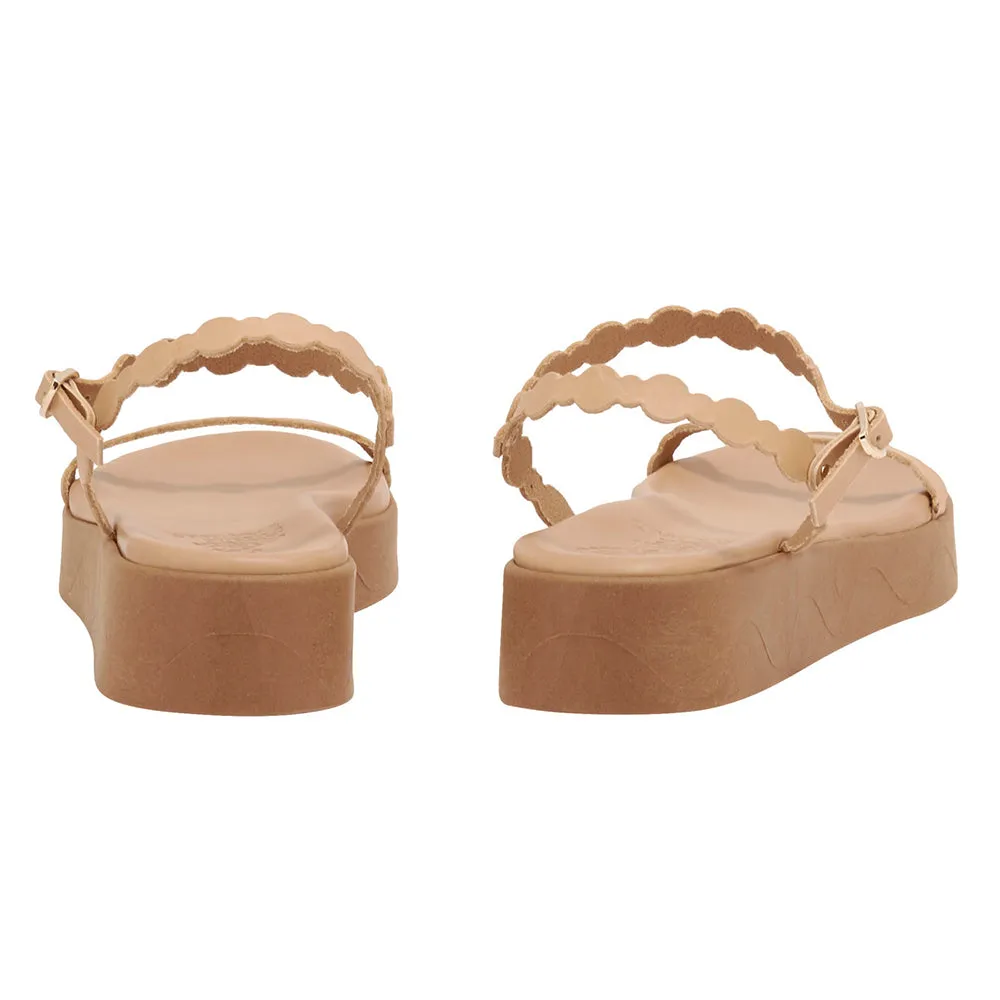 Toxo Natural sold by Ancient Greek Sandals product image thumbnail 5