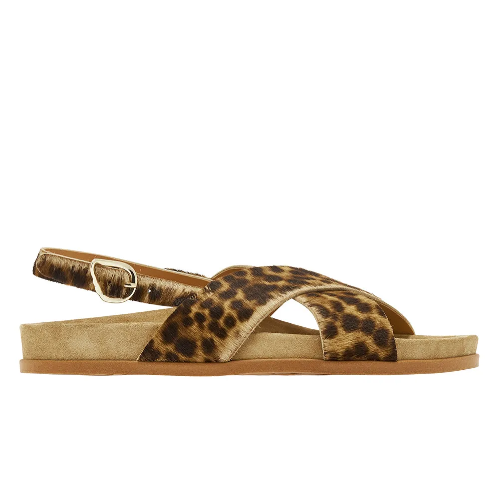 Ikesia Lynx sold by Ancient Greek Sandals