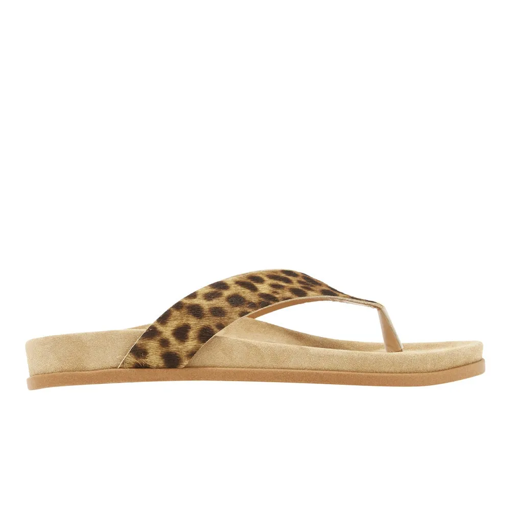 Charys Footbed Lynx sold by Ancient Greek Sandals