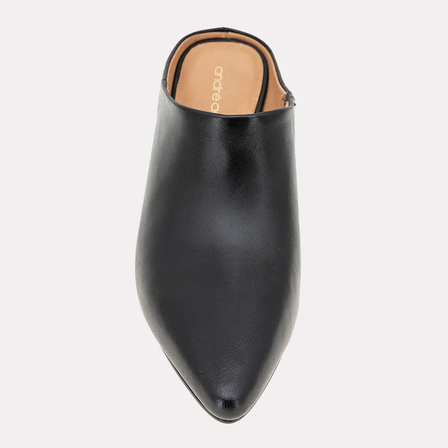 Wyatt Mule sold by Andre Assous product image thumbnail 3