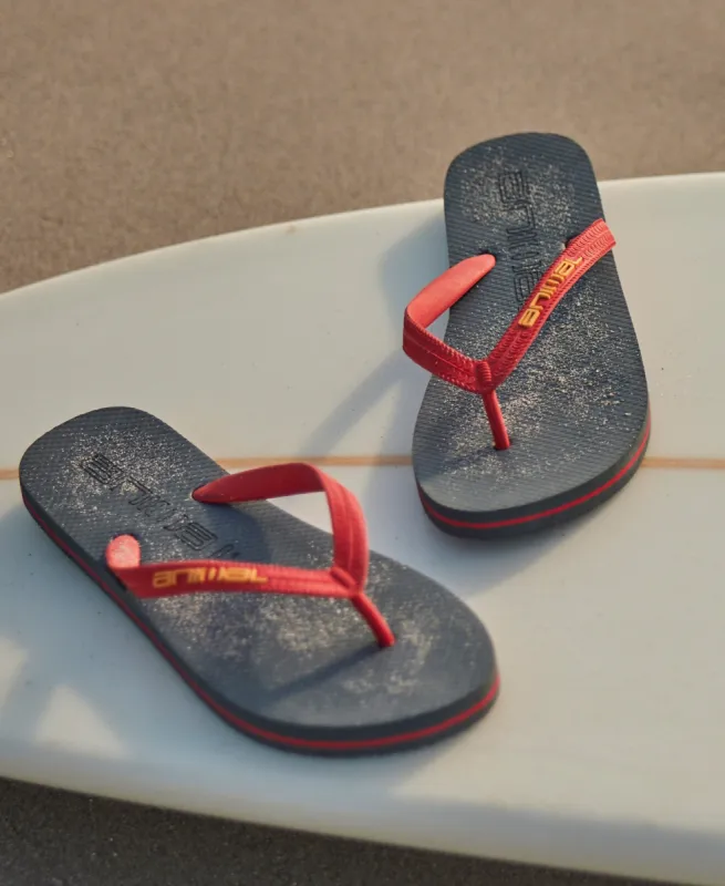 Oceana Mens Flip-Flops - Grey sold by Animal