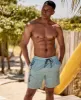 Deep Dive Mens Boardshorts - Pale Blue sold by Animal