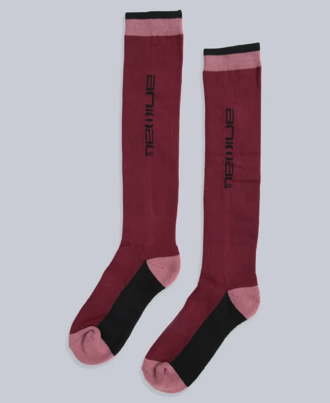 Drift Womens Ski Socks - Red sold by Animal