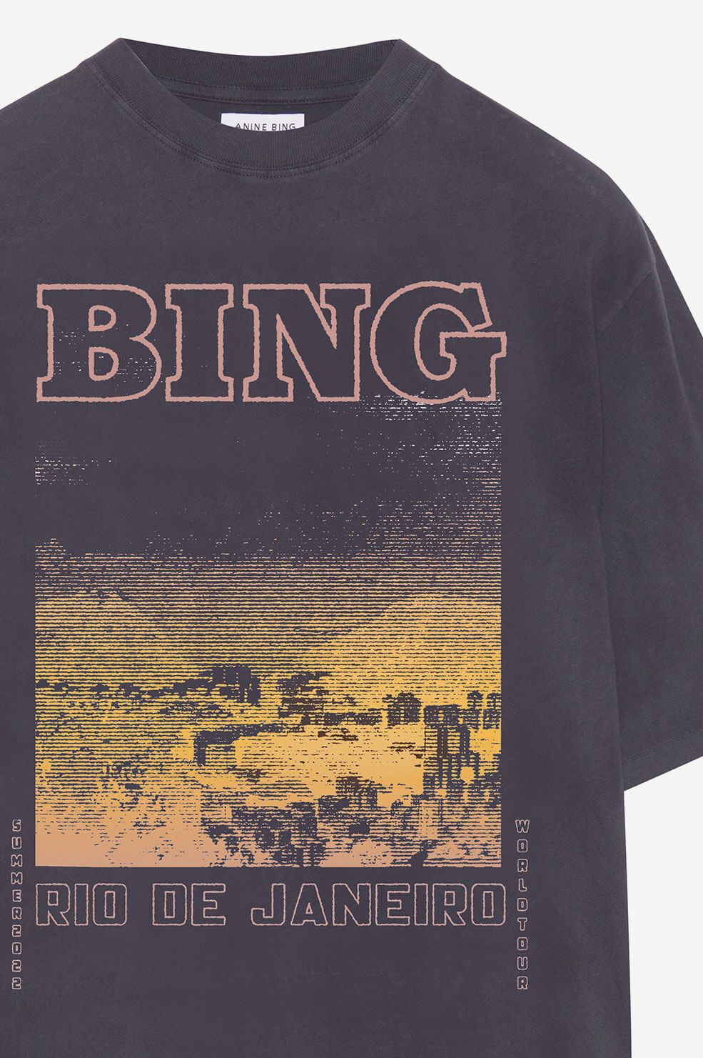 Caden Tee Rio De Janeiro - Washed Black sold by Anine Bing product image thumbnail 4