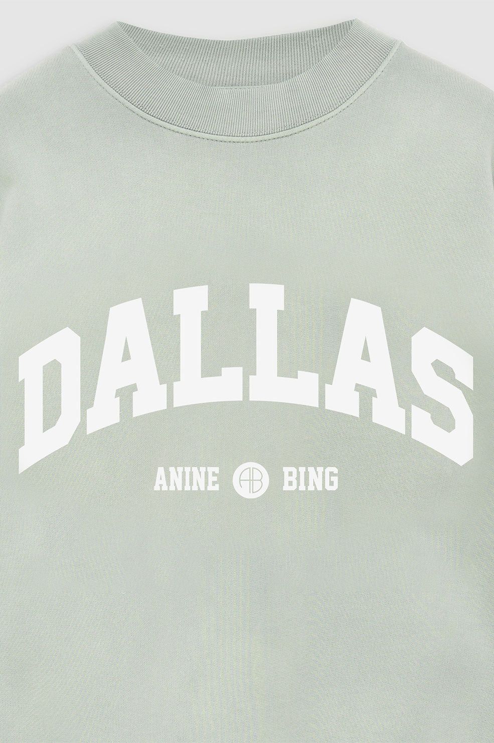 Jaci Sweatshirt University Dallas - Washed Faded Seafoam sold by Anine Bing product image thumbnail 2