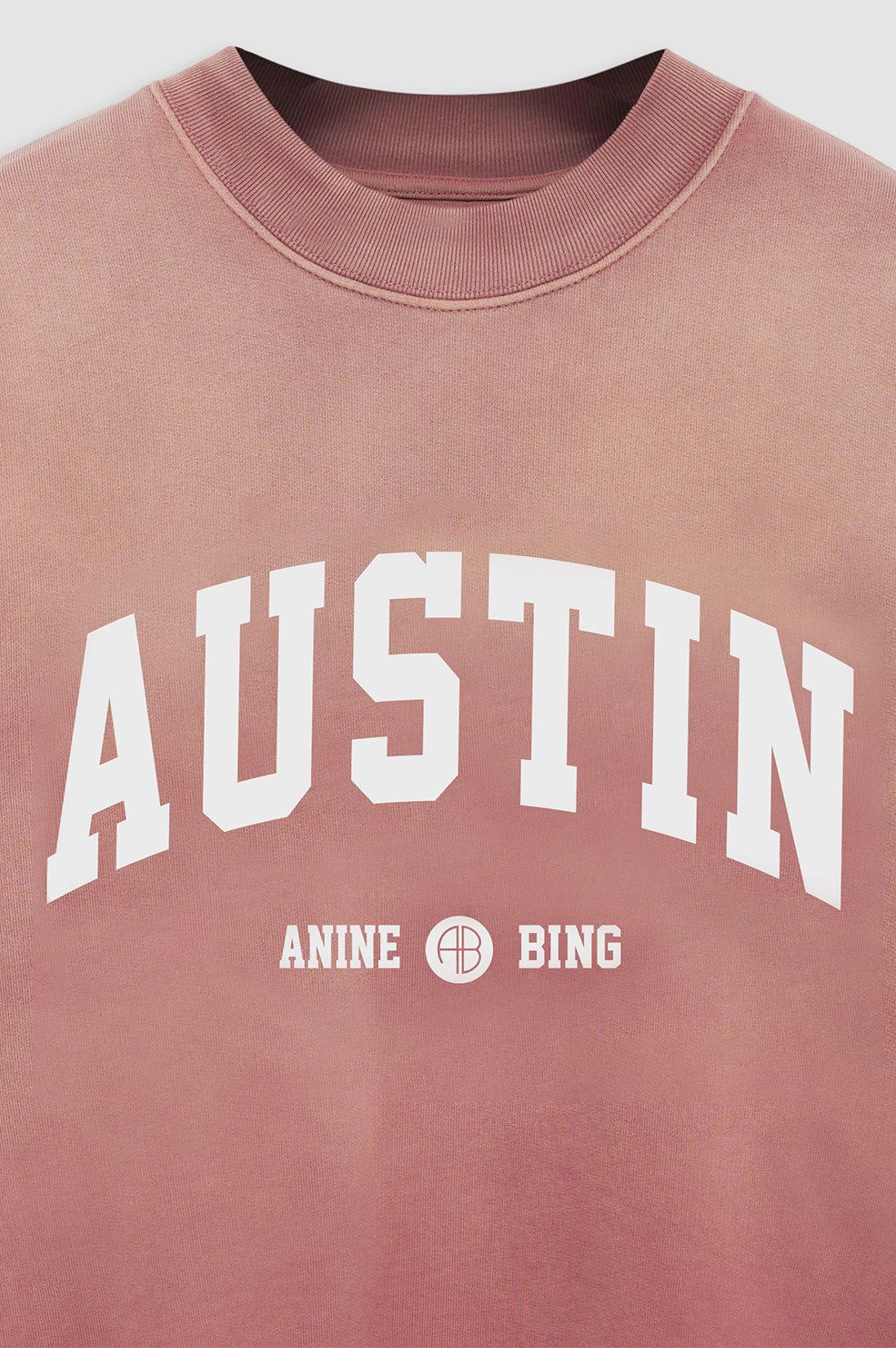 Jaci Sweatshirt University Austin - Washed Faded Terracotta sold by Anine Bing product image thumbnail 2
