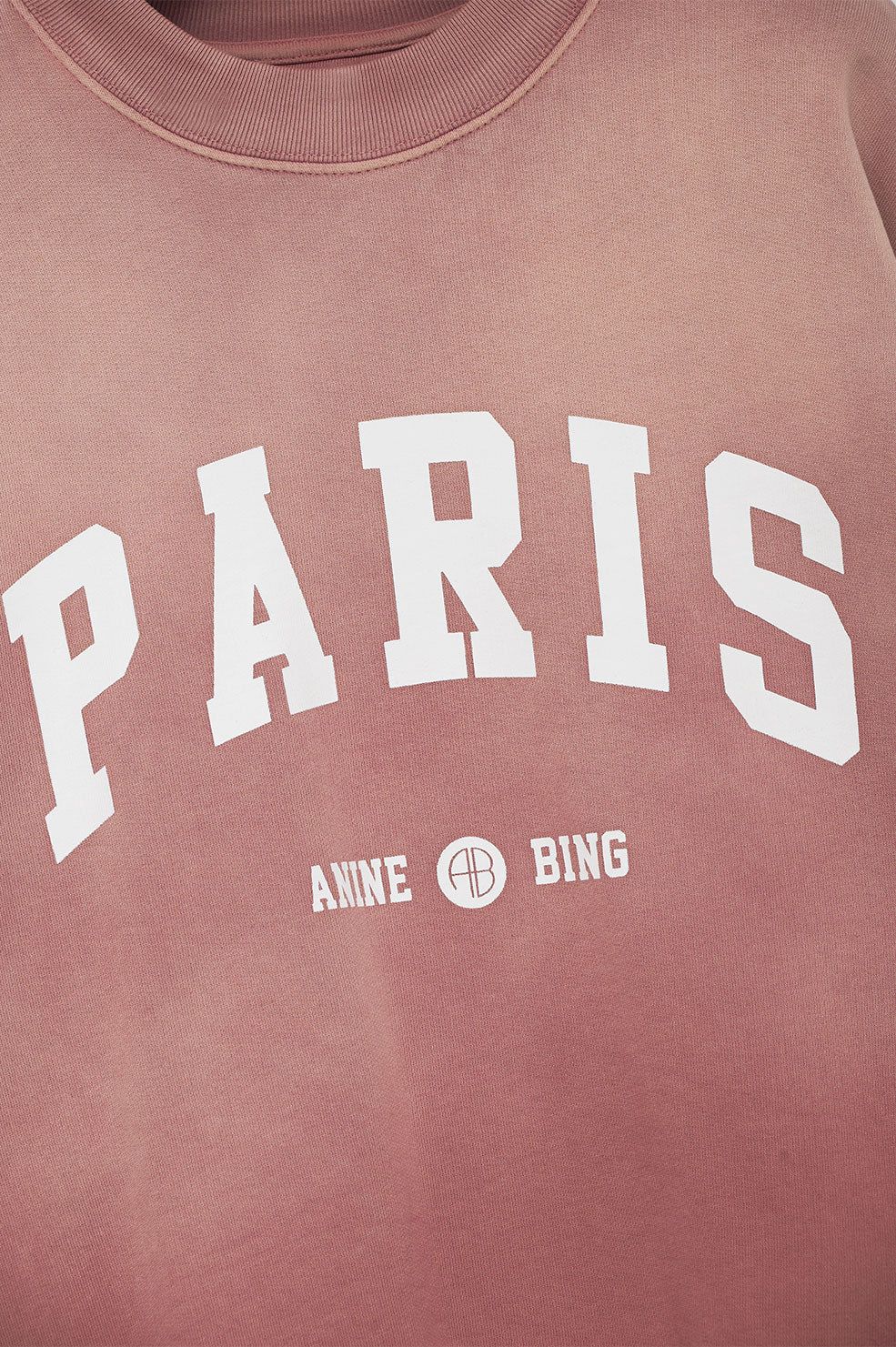 Jaci Sweatshirt University Paris - Washed Faded Terracotta sold by Anine Bing product image thumbnail 4