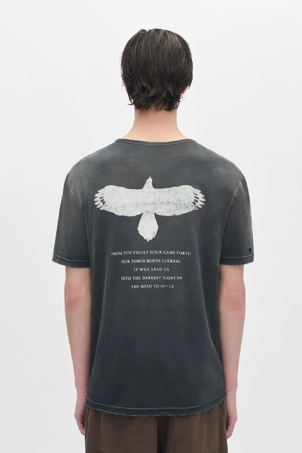 Baptist Standard T-shirt With "Eternal Eagle" sold by Ann Demeulemeester product image thumbnail 3