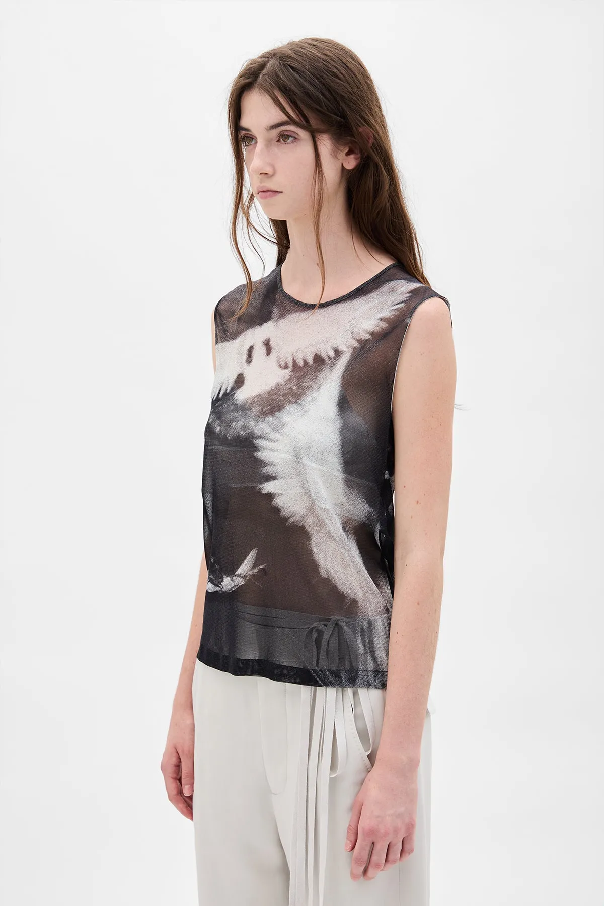 Doves Printed Tulle Top sold by Ann Demeulemeester product image thumbnail 2