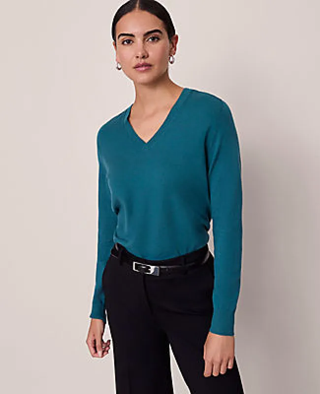 Ann Taylor V-Neck Sweater made by Ann Taylor