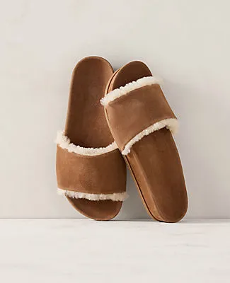Ann Taylor Haven Well Within Suede and Sherpa Molded Slide sold by Ann Taylor