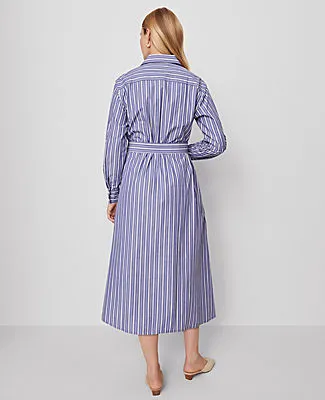 Ann Taylor Petite Striped Collared Midi Shirtdress sold by Ann Taylor product image thumbnail 2