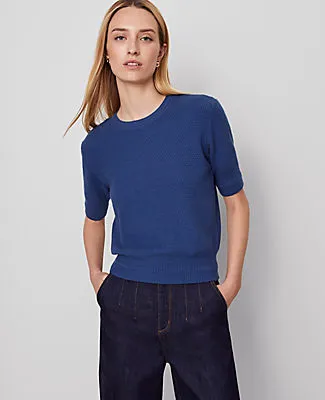 Ann Taylor Stitch Sweater Tee sold by Ann Taylor product image thumbnail 3