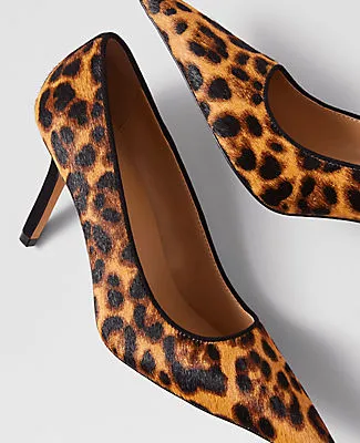 Ann Taylor Pointy Toe Haircalf Pumps sold by Ann Taylor product image thumbnail 2