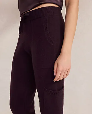 Ann Taylor Haven Well Within Cashmere Cargo Joggers sold by Ann Taylor product image thumbnail 2