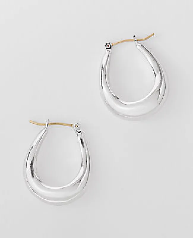 Ann Taylor Metal Hoop Earrings sold by Ann Taylor