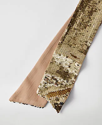 Ann Taylor Skinny Sequin Scarf sold by Ann Taylor product image thumbnail 2