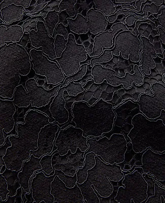 Ann Taylor The Petite Jayne Trouser in Lace sold by Ann Taylor product image thumbnail 5