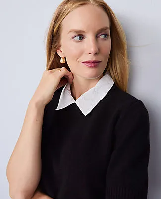 Ann Taylor Lace Collar Sweater Tee sold by Ann Taylor product image thumbnail 4