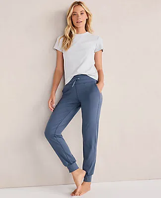 Ann Taylor Haven Well Within Balance Drawstring Joggers sold by Ann Taylor product image thumbnail 3