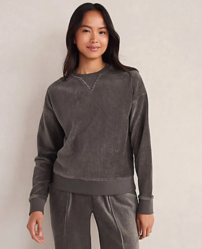 Ann Taylor Haven Well Within Corded Velour Crewneck Pullover made by Ann Taylor