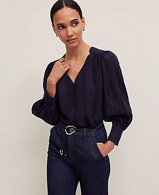Ann Taylor Petite Embroidered V-Neck Popover Top sold by Ann Taylor product image thumbnail 3