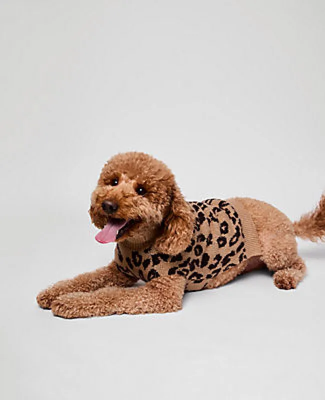 Ann Taylor Weekend Collection Animal Print Dog Sweater sold by Ann Taylor