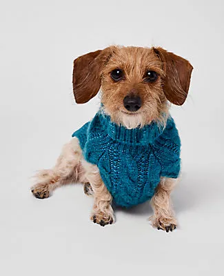 Ann Taylor Weekend Collection Cable Dog Sweater sold by Ann Taylor