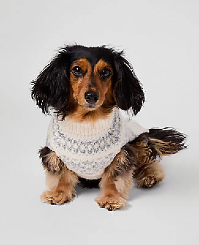 Ann Taylor Weekend Collection Fair Isle Dog Sweater sold by Ann Taylor